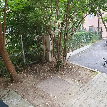 Sofia Free Parking