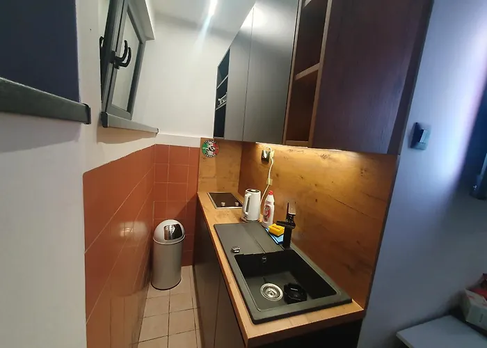 Sofia Free Parking *